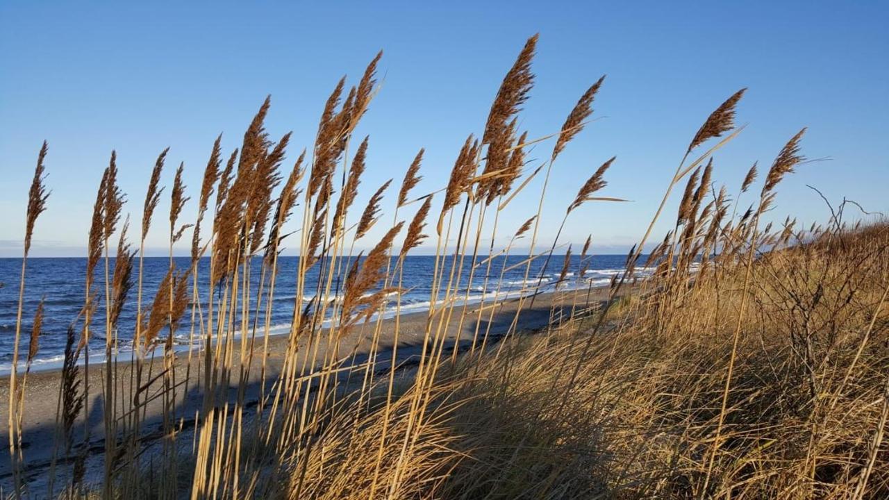 Fewo Baltic Sky Börgerende-Rethwisch Dış mekan fotoğraf